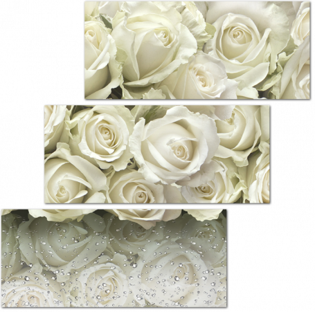 3D Розы белые