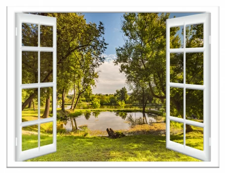 Летнее утро