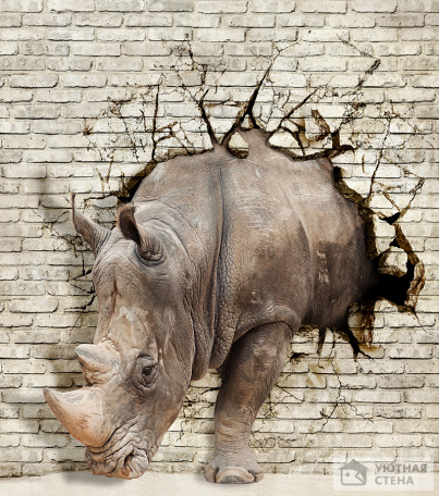 Носорог врывающийся сквозь стену