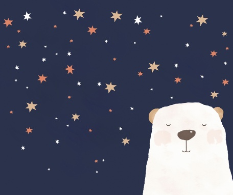 Звездная ночь медвежонка