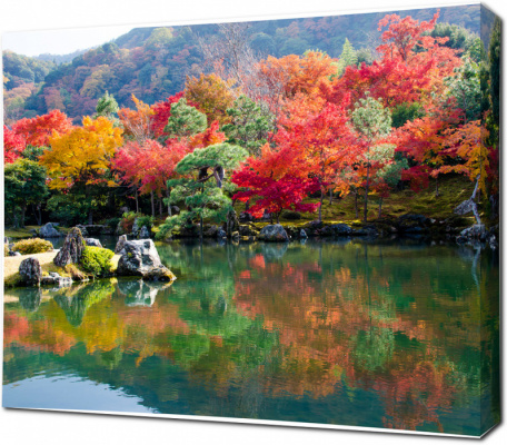 Красочные деревья с зеркальным озером осенью в Японии