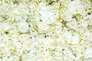 Фон с белыми розами и орхидеями