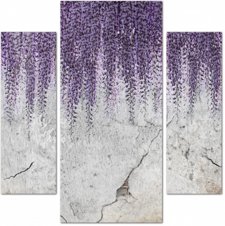 Стена с цветущей глицинией