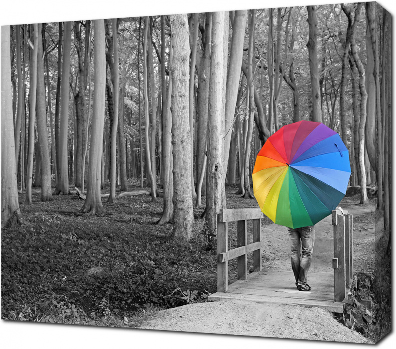 Девушка с цветным зонтом в черно-белом лесу