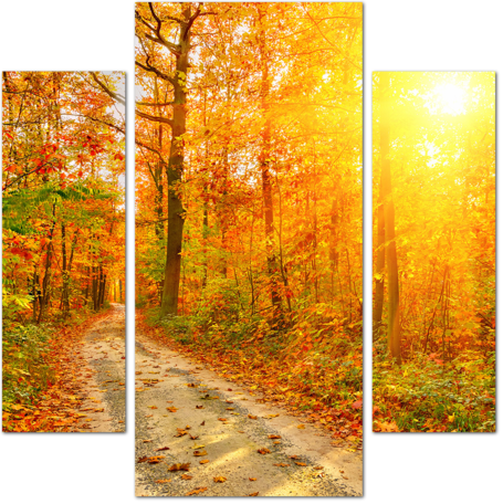 Яркое изображение осеннего леса