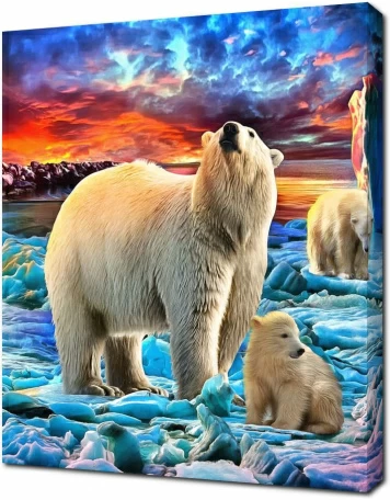 Медведи во льдах