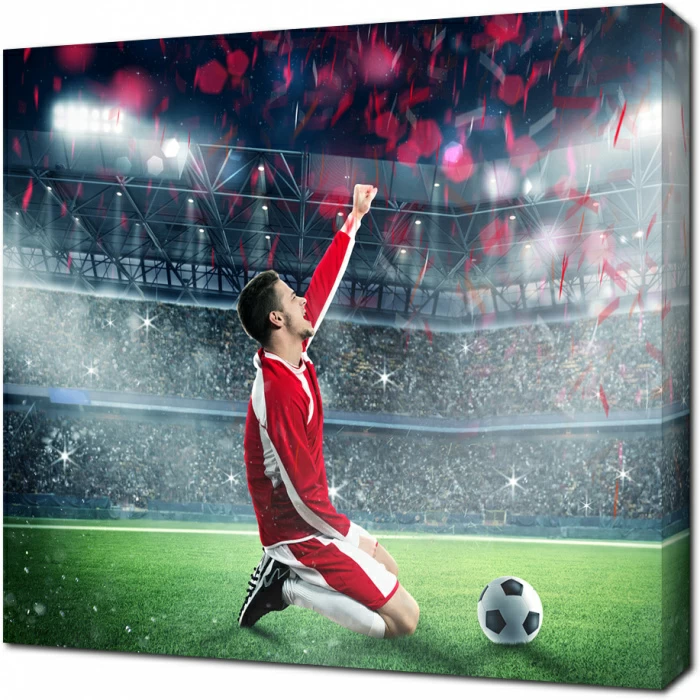 Игрок с мячом на газоне