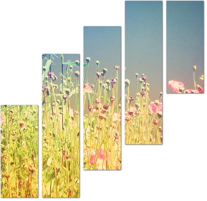 Полевые цветы с ретро фильтром