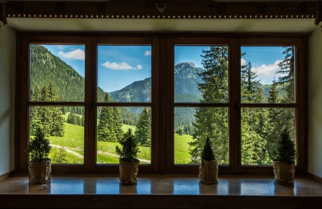 Окно на природу