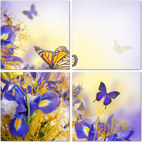 Букет из синих ирисов, белых цветов и бабочек