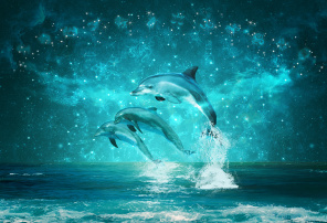 Завораживающие дельфины