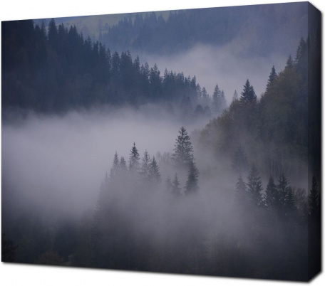 Туман над лесом