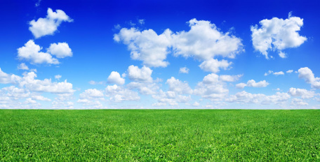 Зеленое поле и небо