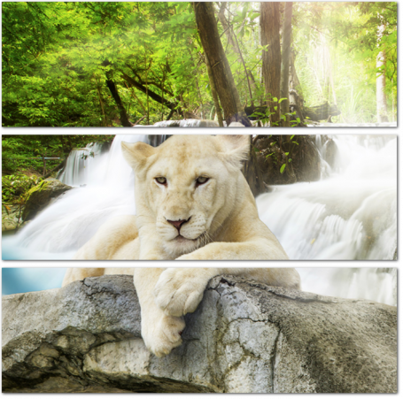 Белый лев на фоне водопада