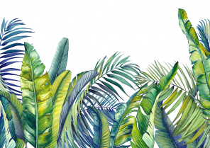 Акварельные листья пальм