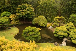 Японский чайный сад. Сан-Франциско