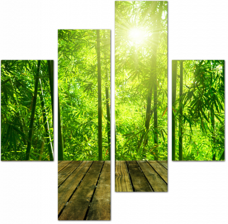 Азиатский бамбуковый лес
