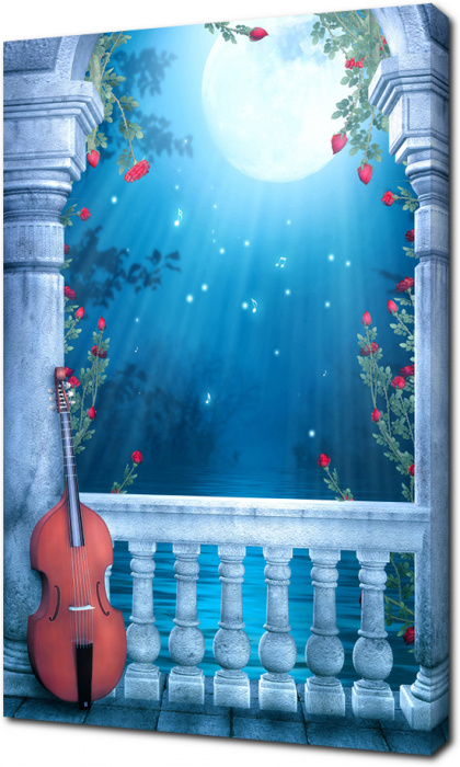 Лунная арка с виолончелью