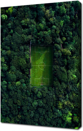 Футбольное поле в лесу