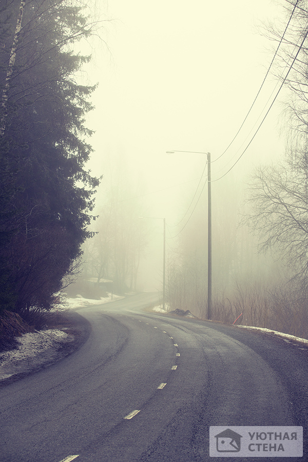 Туман над дорогой