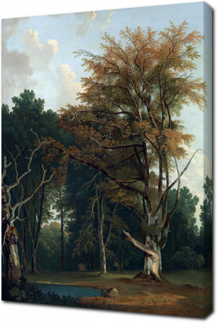 Джозеф Фарингтон — Деревья на Лесной Поляне