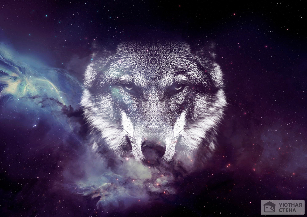 Волк в звёздном небе