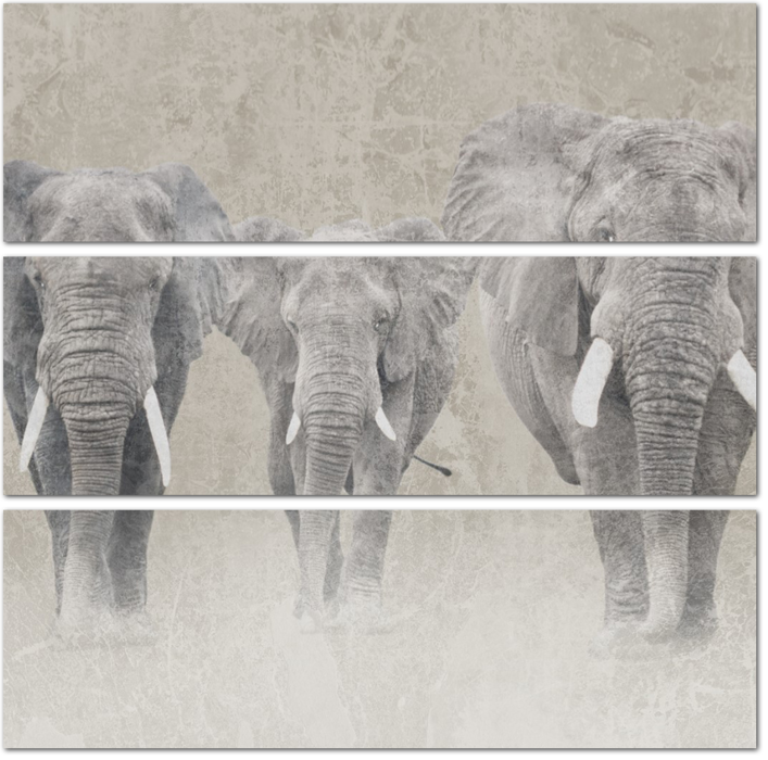 Три африканских слона