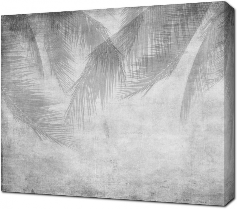 Тени пальмовых листьев