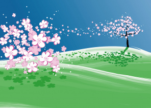 Ветер уносит цветки сакуры