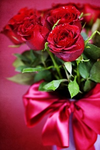 Букет красных роз на красном фоне