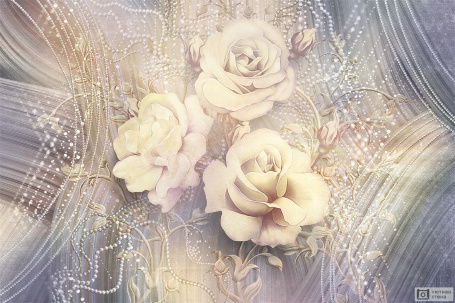 Арт изображение белых роз