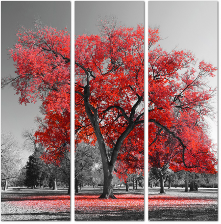 Дерево с красными листьями