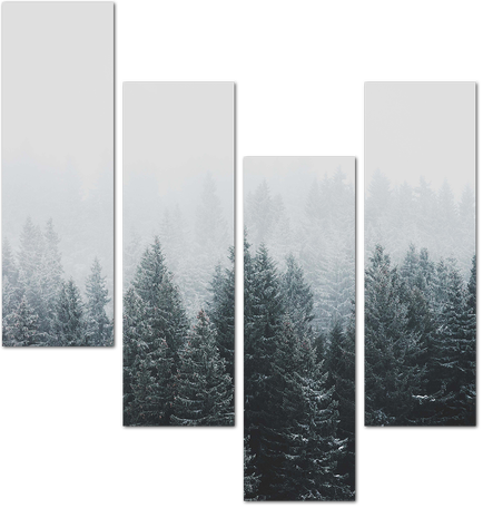 Зимний лес в снежной дымке