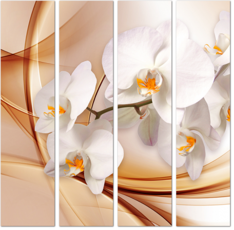 Орхидея на абстрактном фоне