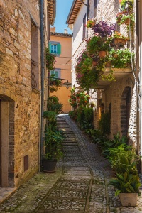 Узкая улочка с цветами. Тоскана. Италия