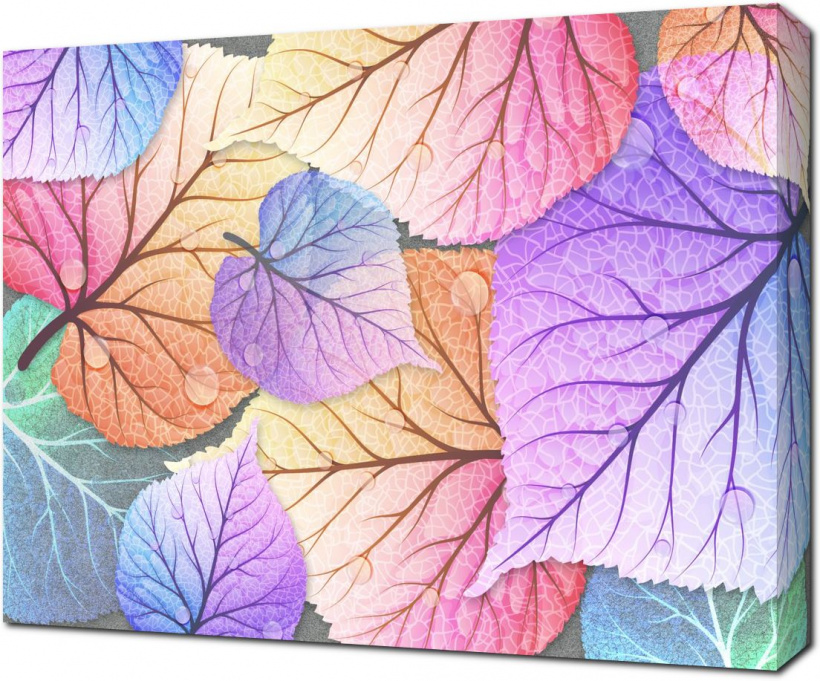 Разноцветные листья с каплями росы