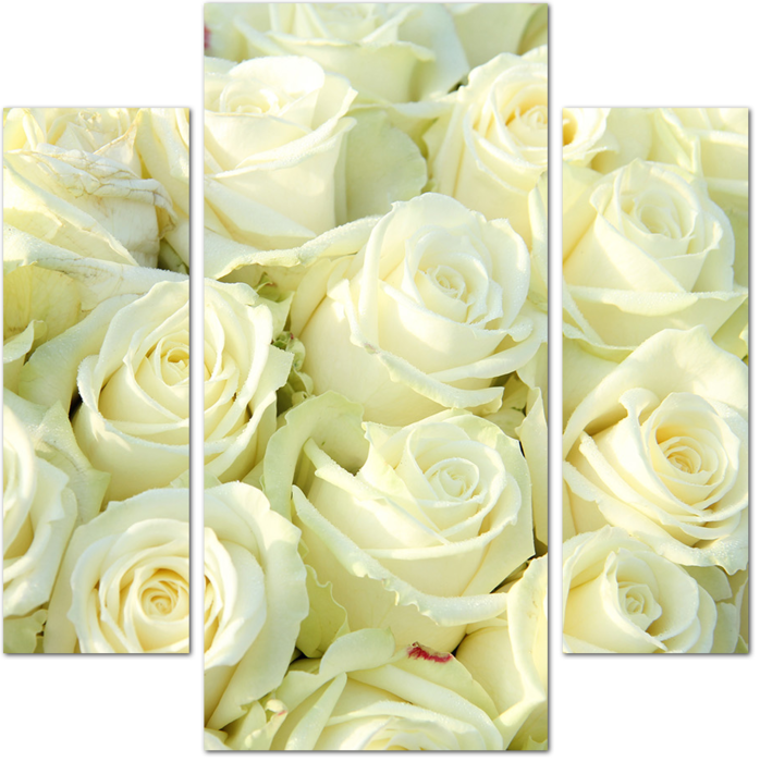 Модульные картины «Розы»