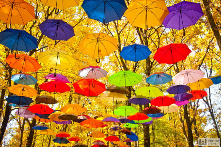 Разноцветные зонты в парке