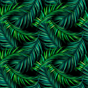 Насыщенно-зеленые листья пальмы