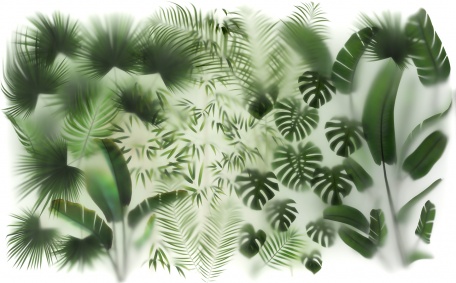 Экзотические растения за матовым стеклом
