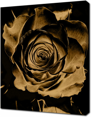 Винтажный цветок розы