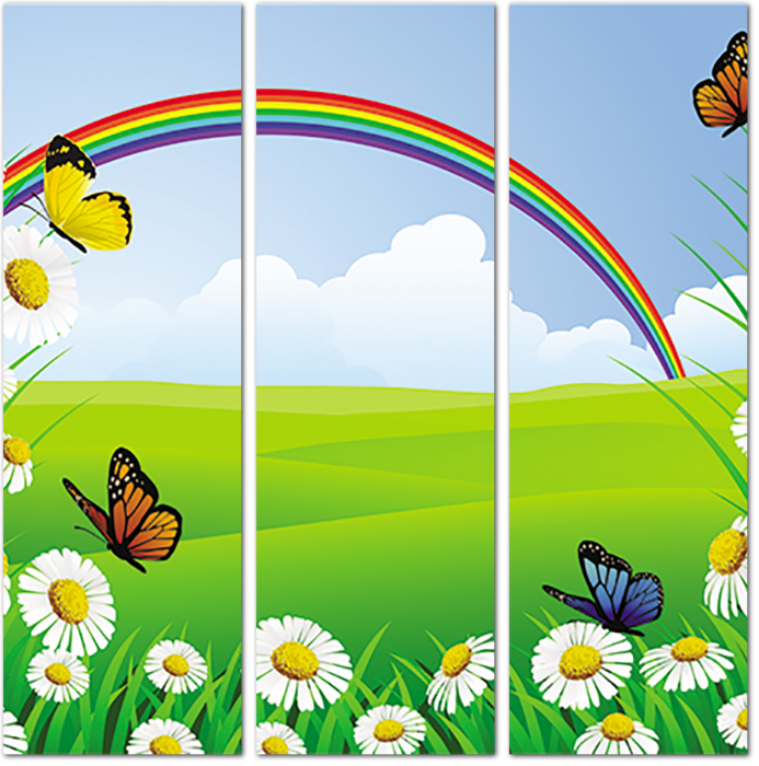 Ромашки с бабочками на фоне радуги