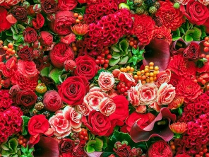 Ярко-красный букет с розами