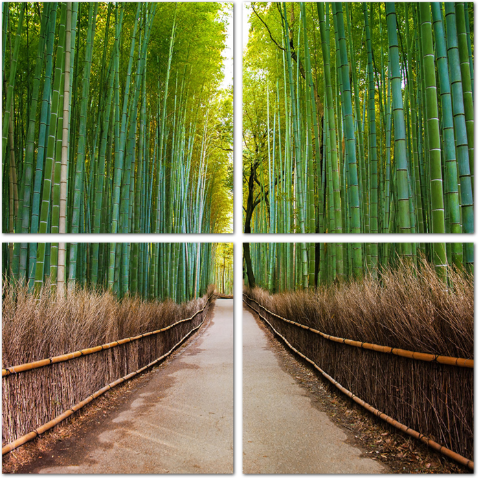 Бамбуковая аллея в парке Киото. Япония