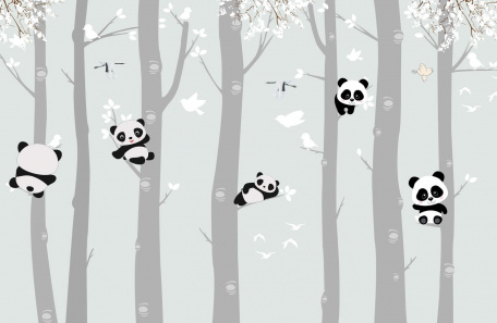 Маленькие панды на деревьях
