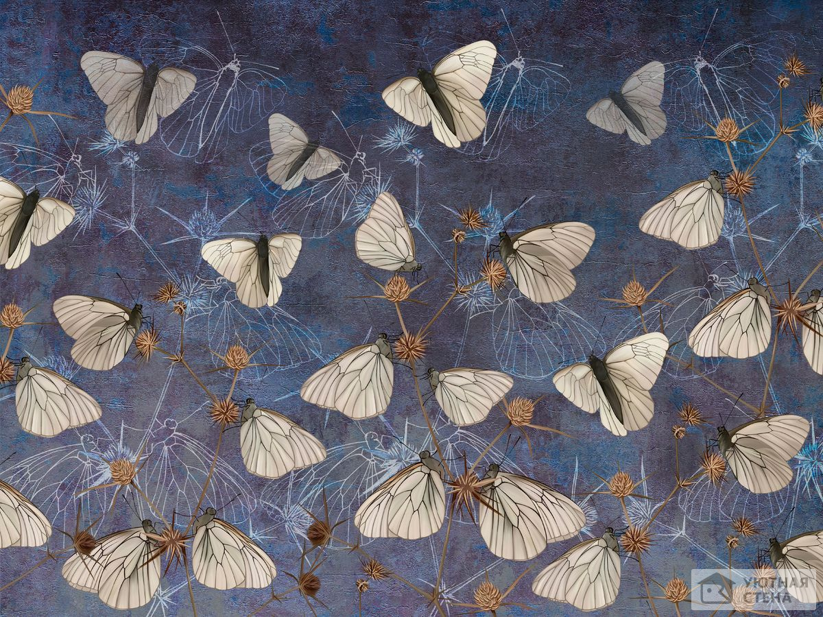 Множество дивных бабочек на синем фоне