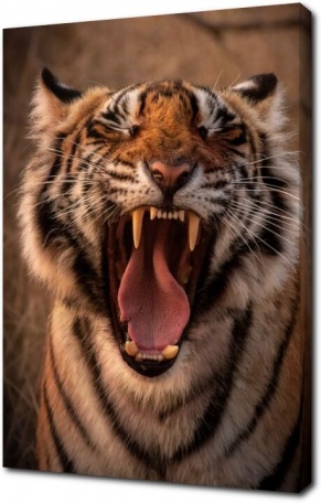 Рычание тигра