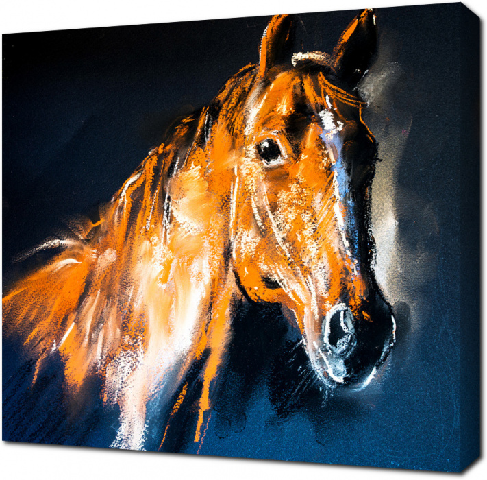 Портрет лошади на черном фоне