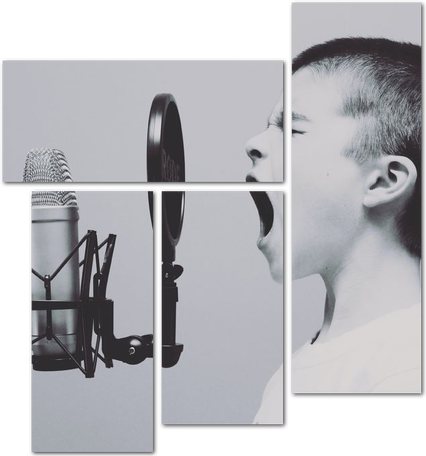 Мальчик и студийный микрофон