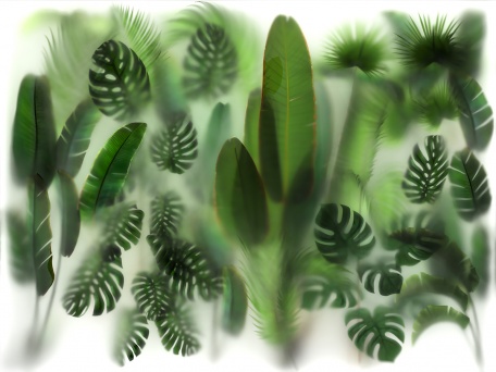 Тропические растения за матовым стеклом